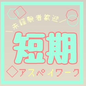 コールセンター(後払い決済/チカホ直結/12月末)