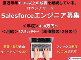 IT・エンジニア(渋谷区道玄坂/Salesforce領域の組織メンバー募集)