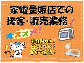 家電販売(PCやカメラ家電の販売/9時45分~18時45分/週5~OK)