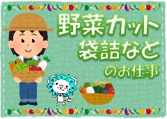 軽作業(長期、土日含むシフト制、野菜洗浄、袋詰め、カット等)