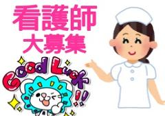 正看護師(看護師)