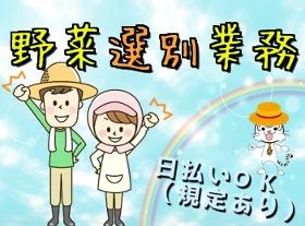 軽作業(サイズ別に選別、箱詰めだけ 9時~17時 週3~OK 短期 )
