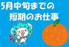 農業(短期1ヵ月もOK/週3~4日勤務/選果のお仕事/60代もOK)