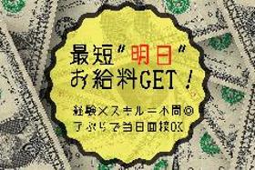 ピッキング(検品・梱包・仕分け)(チョコパの検品作業/8-17時、シフト自己申告制、週4日~)