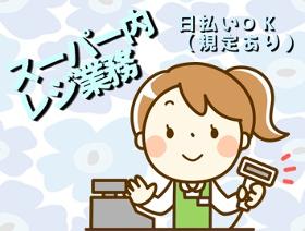 レジ(スキャンのみ/自動精算レジ　週5日　9～18時　12～21時)