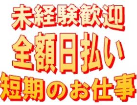 食品製造スタッフ(短期・年末迄/練物製品の具材投入/17~26時/土日含む週5)