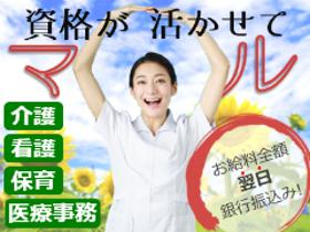登録販売者(大手家電量販店内 週5勤務 経験必須 日払い可)