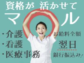 登録販売者(大手家電量販店内 週5勤務 経験必須 日払い可)