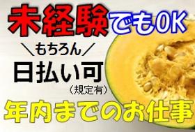 製造スタッフ(組立・加工)(短期 年内まで 性別不問 野菜のカット作業)