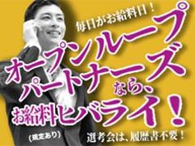 ピッキング(検品・梱包・仕分け)(商品を並べるだけ/3カ月短期、週5日、日払い、9-17時)