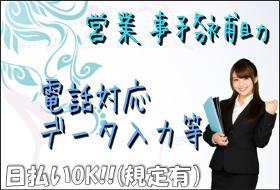 一般事務(短期/損保会社での一般事務/週5/土日祝休み)