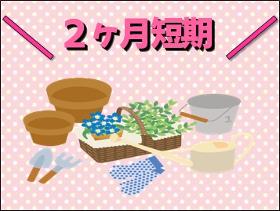 販売スタッフ(短期2ヶ月 週5日 8~16時 )