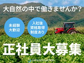 農業(青果物の選果、管理、畑作業、デスクワーク)