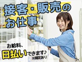 接客サービス(サービスカウンターでの接客、簡易的な伝票入力業務など)