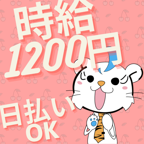 ピッキング(検品・梱包・仕分け)(宅配物の荷物仕分け/12末短期/那覇市/時給1200円/)