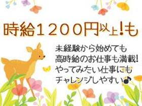 レジ(家電屋レジ/週4日~、フルタイム、高時給、日払い、来社不要)