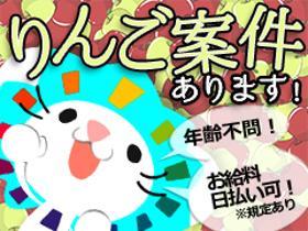 ピッキング(検品・梱包・仕分け)(11月末までの短期/リンゴの選別・箱詰め/週3日~)