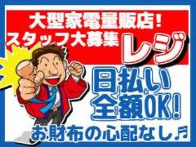 レジ(家電量販店スタッフ(レジ、接客)　土日含む週５日　高時給)