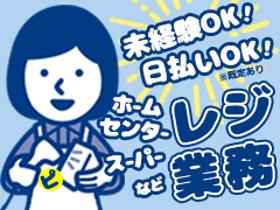 レジ(大手スーパーマーケット　レジスタッフ　お客様サポート)