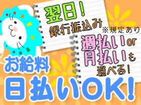 軽作業(6月入社｜パリパリ食品のもくもく検品｜2交替シフト｜週5)