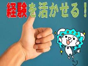 SE（システムエンジニア）(販売管理システムの開発リーダー候補)
