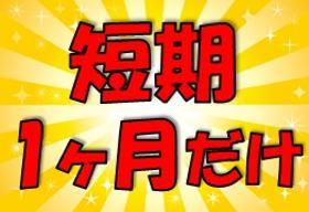 一般事務(書類チェック　入力)