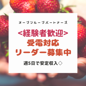 コールセンター管理・運営(インフラ等に関するお問合せセンターでのリーダー業務)