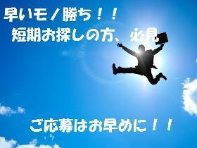 ピッキング（検品・梱包・仕分け）(店舗内の倉庫で家電商品の仕分け)